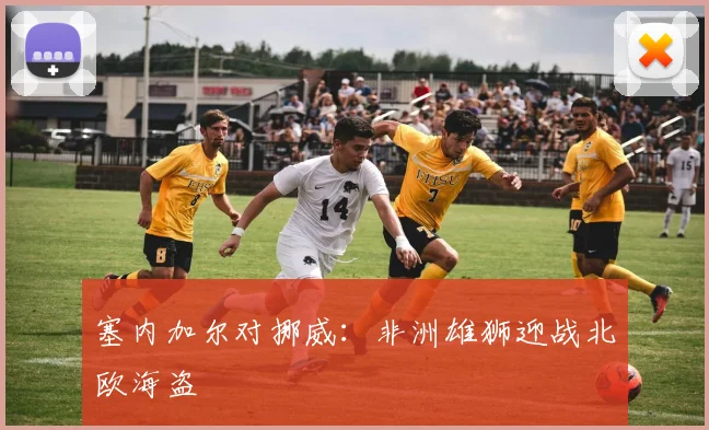 塞内加尔对挪威：非洲雄狮迎战北欧海盗